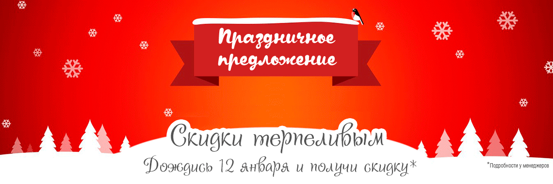 Скидка в новогодние праздники 2026