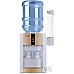 Кулер для воды Ecotronic H1-TE Gold