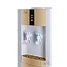 Кулер для воды Ecotronic H1-L Gold